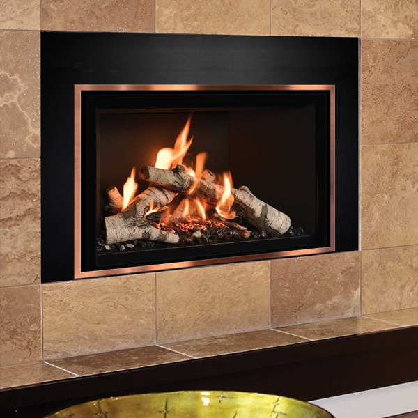 FireIn Fireplace Inserts